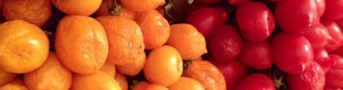 Tomato